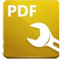 PDF-Tools 10 - 1 uživatel, 2 PC/M1Y