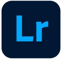 Lightroom w Classic for teams MP ML COM RNW 1 User, 12 Months, Level 4, 100+ Lic