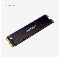 HIKSEMI SSD FUTURE 512GB, M.2 2280, PCIe Gen4x4, R7050/W4200